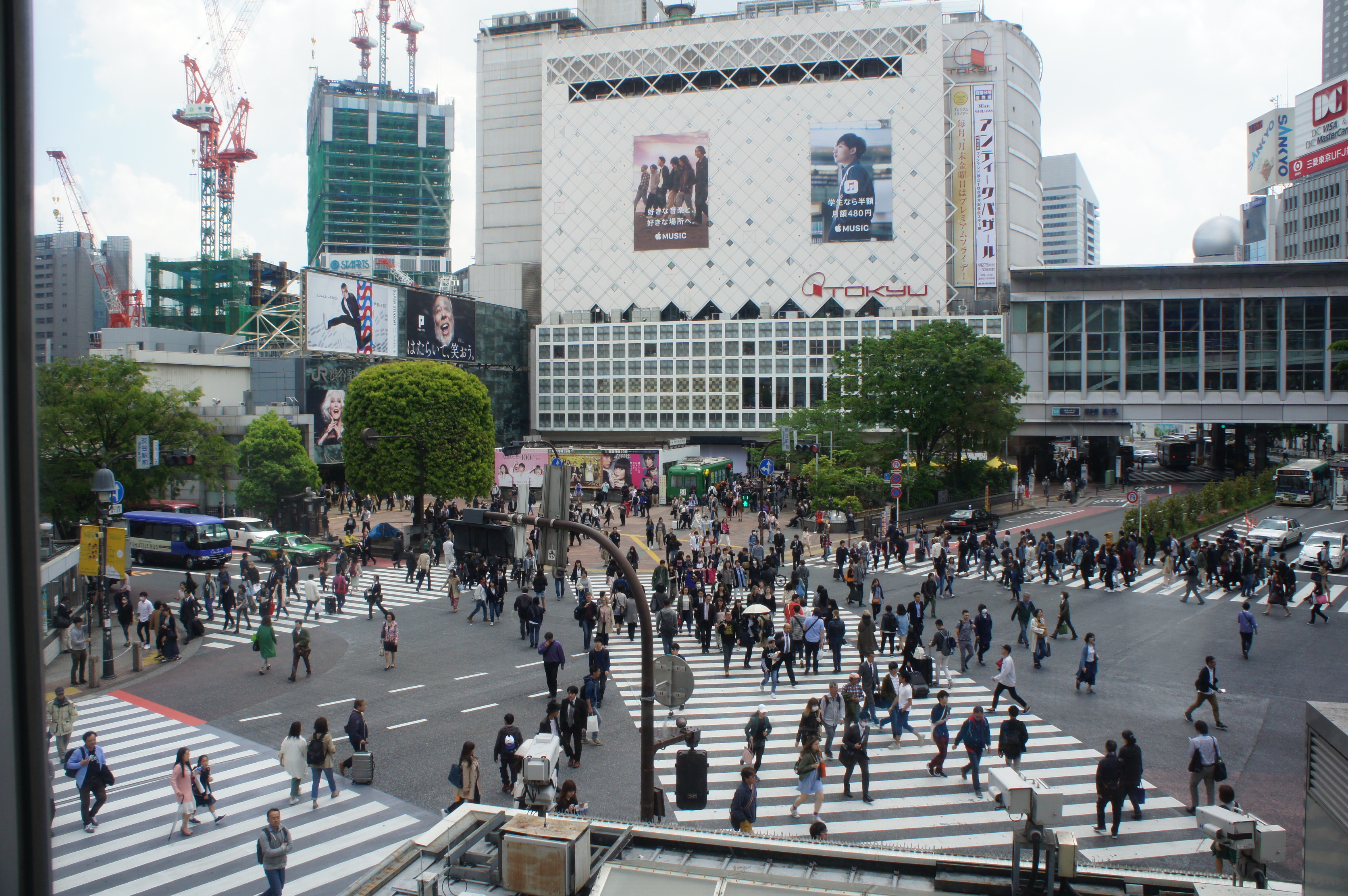 Shibuya Crossing