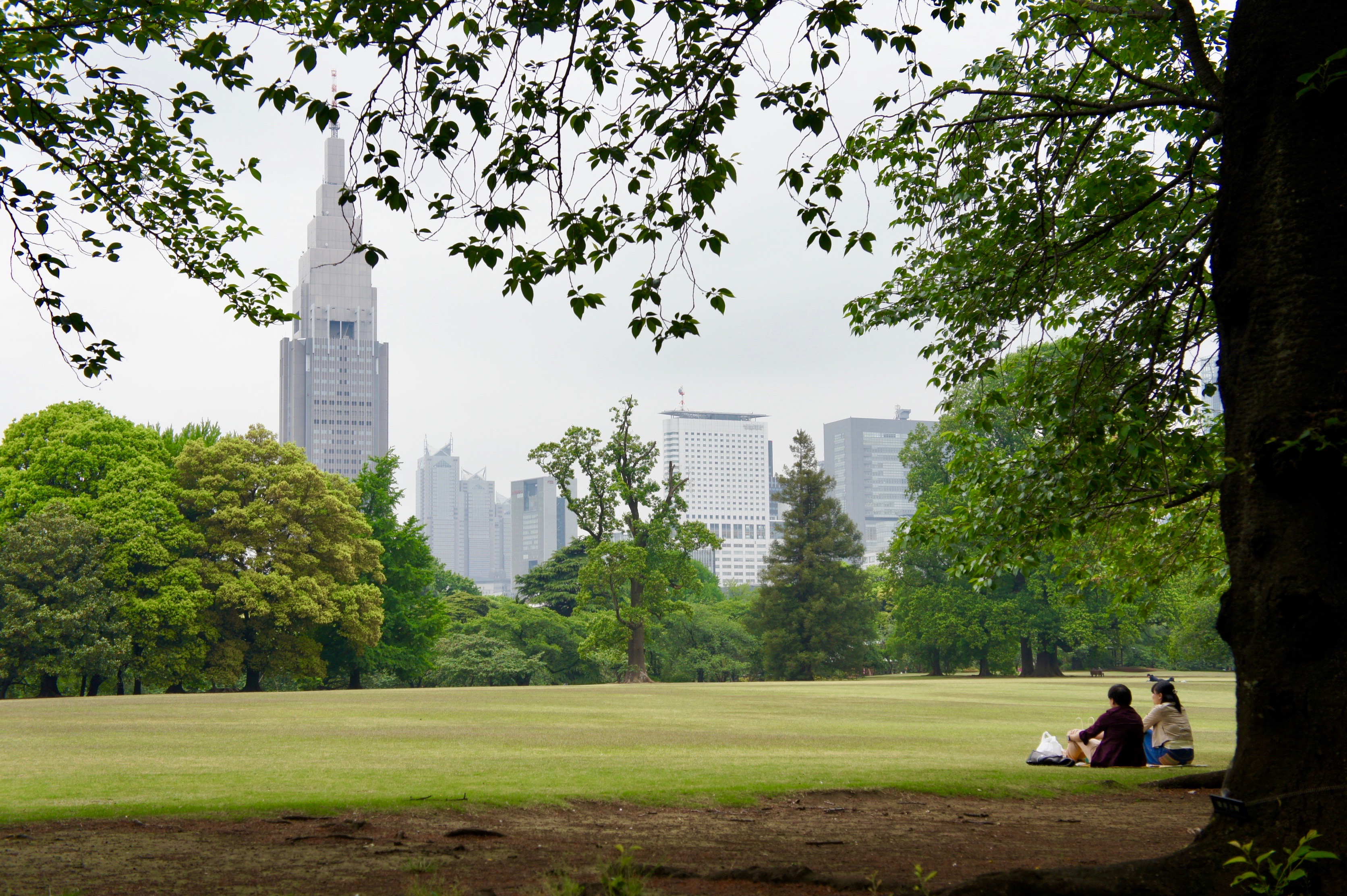 Shinjuku Gyoen National Garden