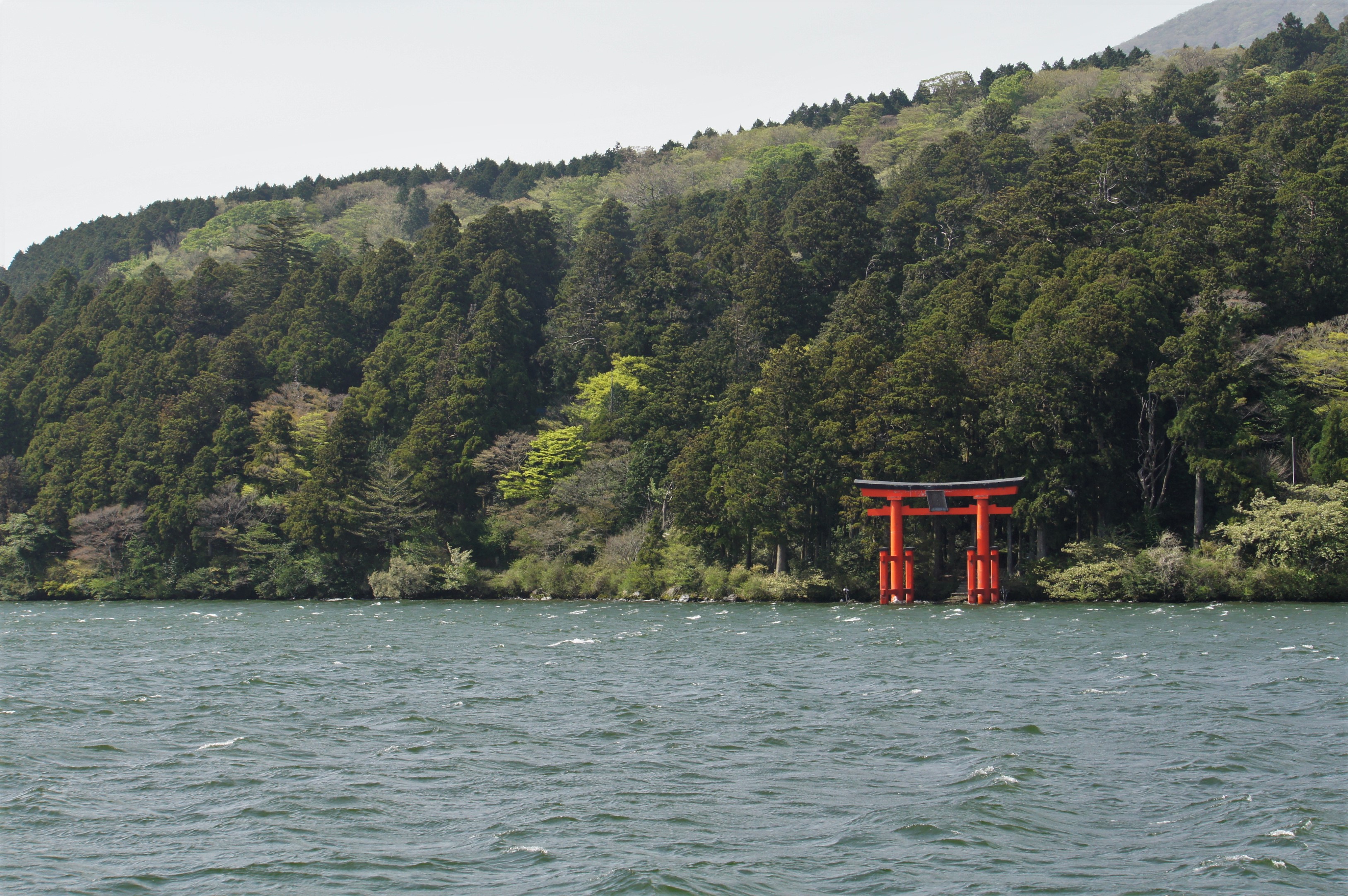 Torii in Hakone