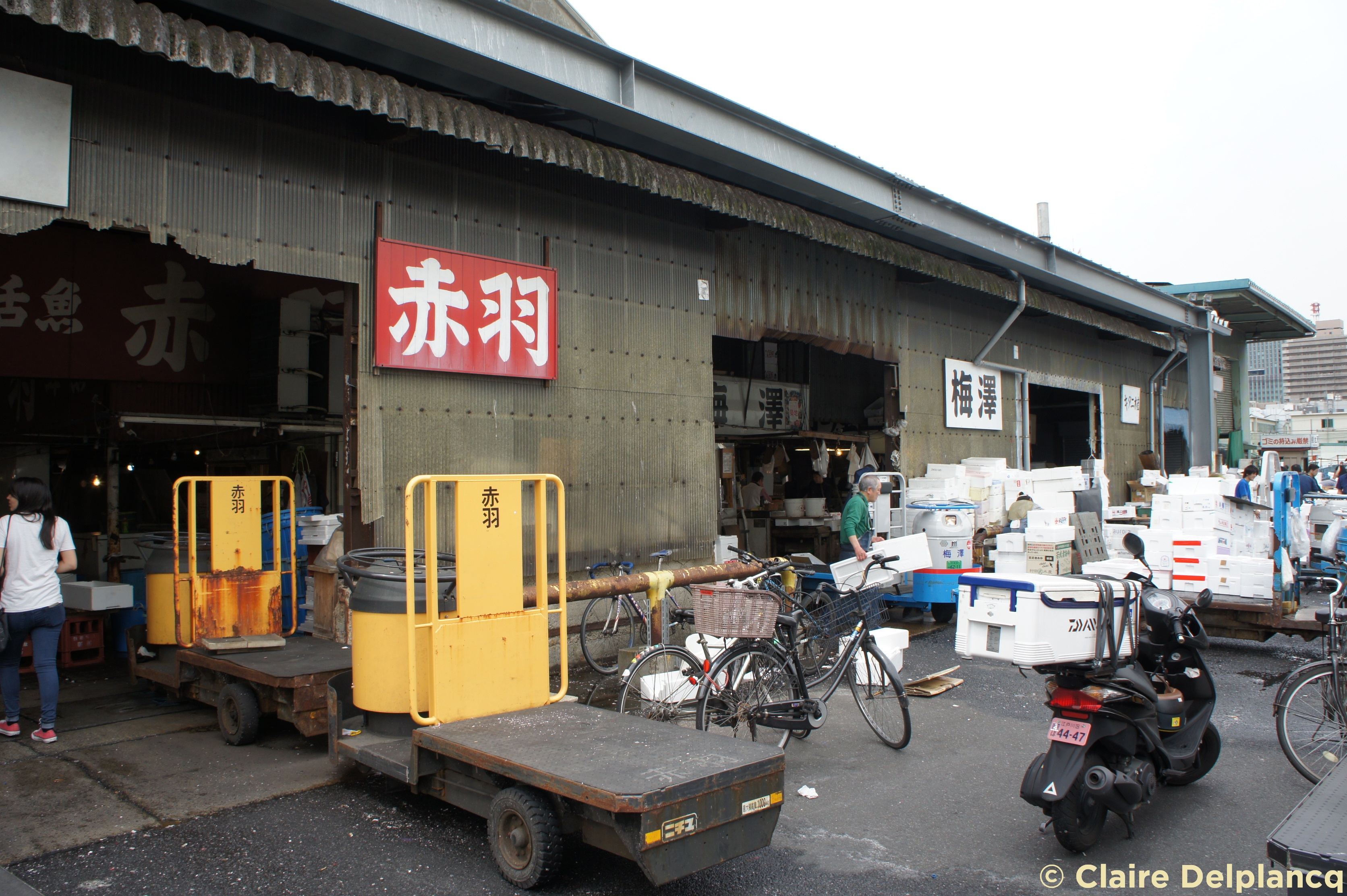 Tsukiji fish market
