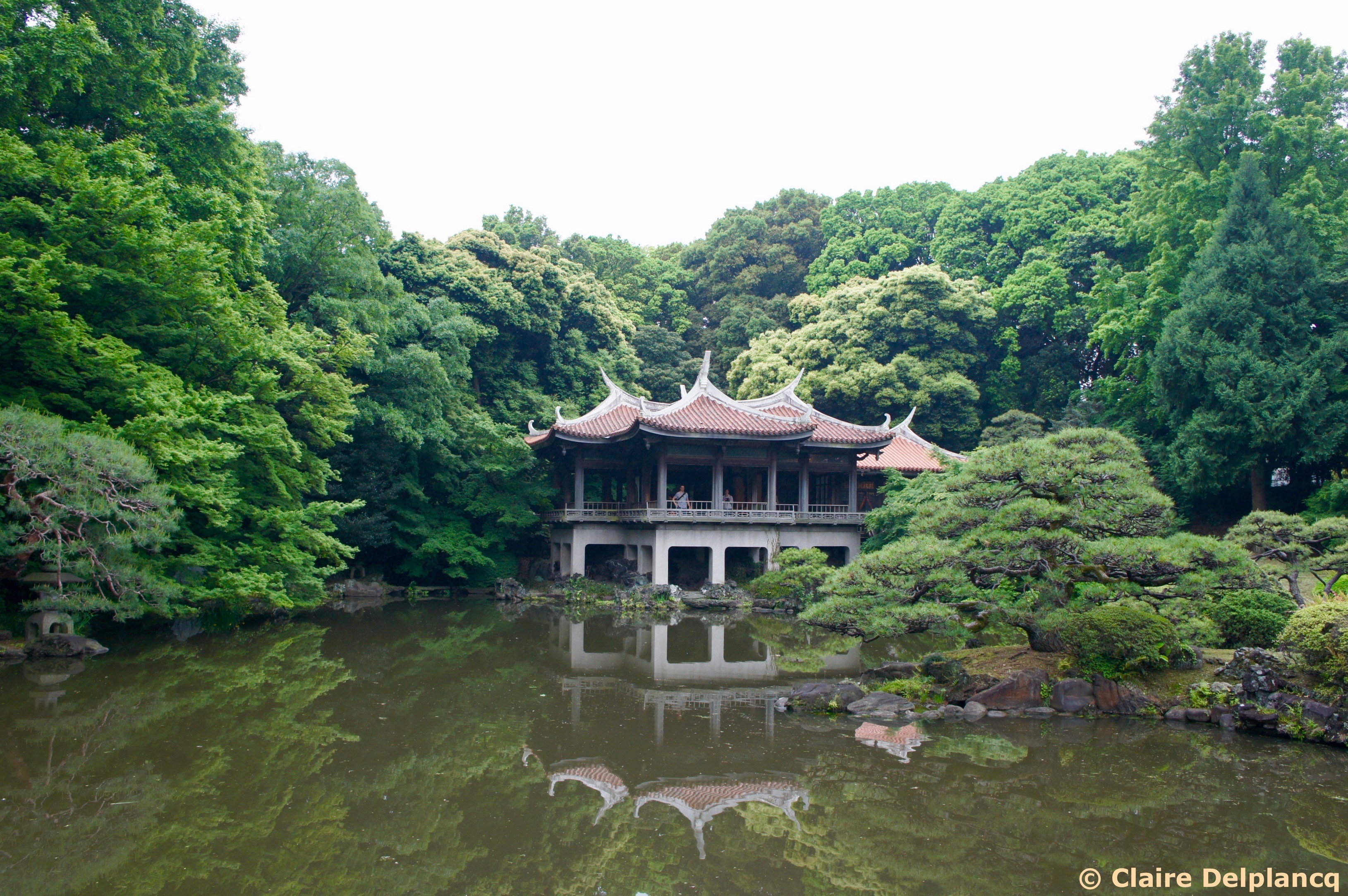 Tea house in Shinjuku Gyoen National Park