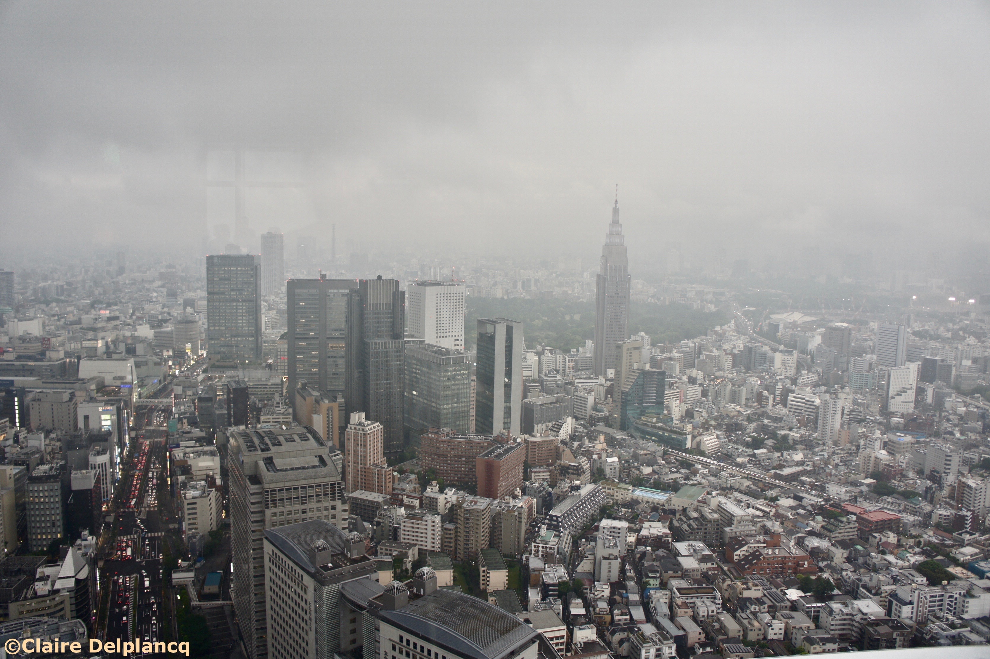 View of Tokyo from the New York bar