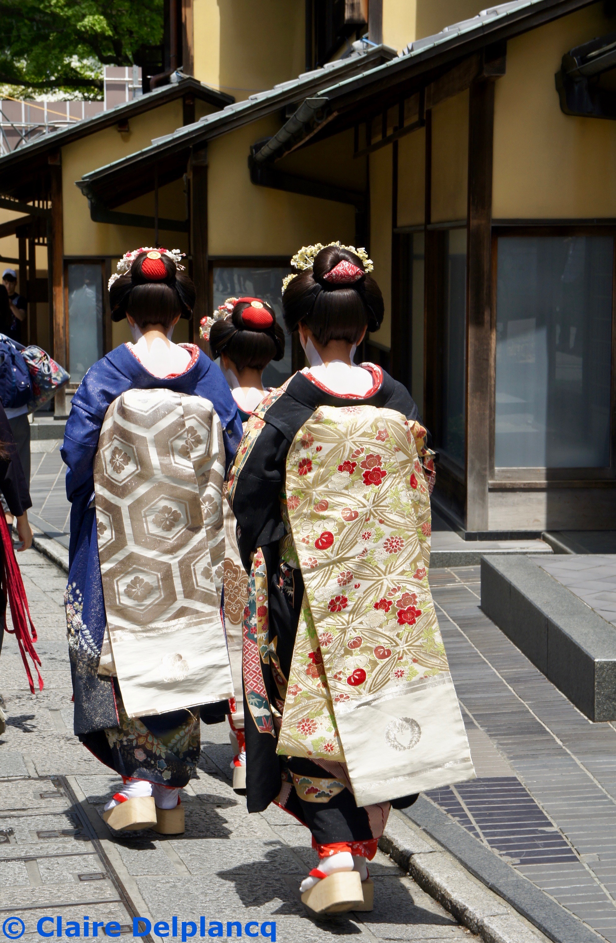 Geishas in Kyoto