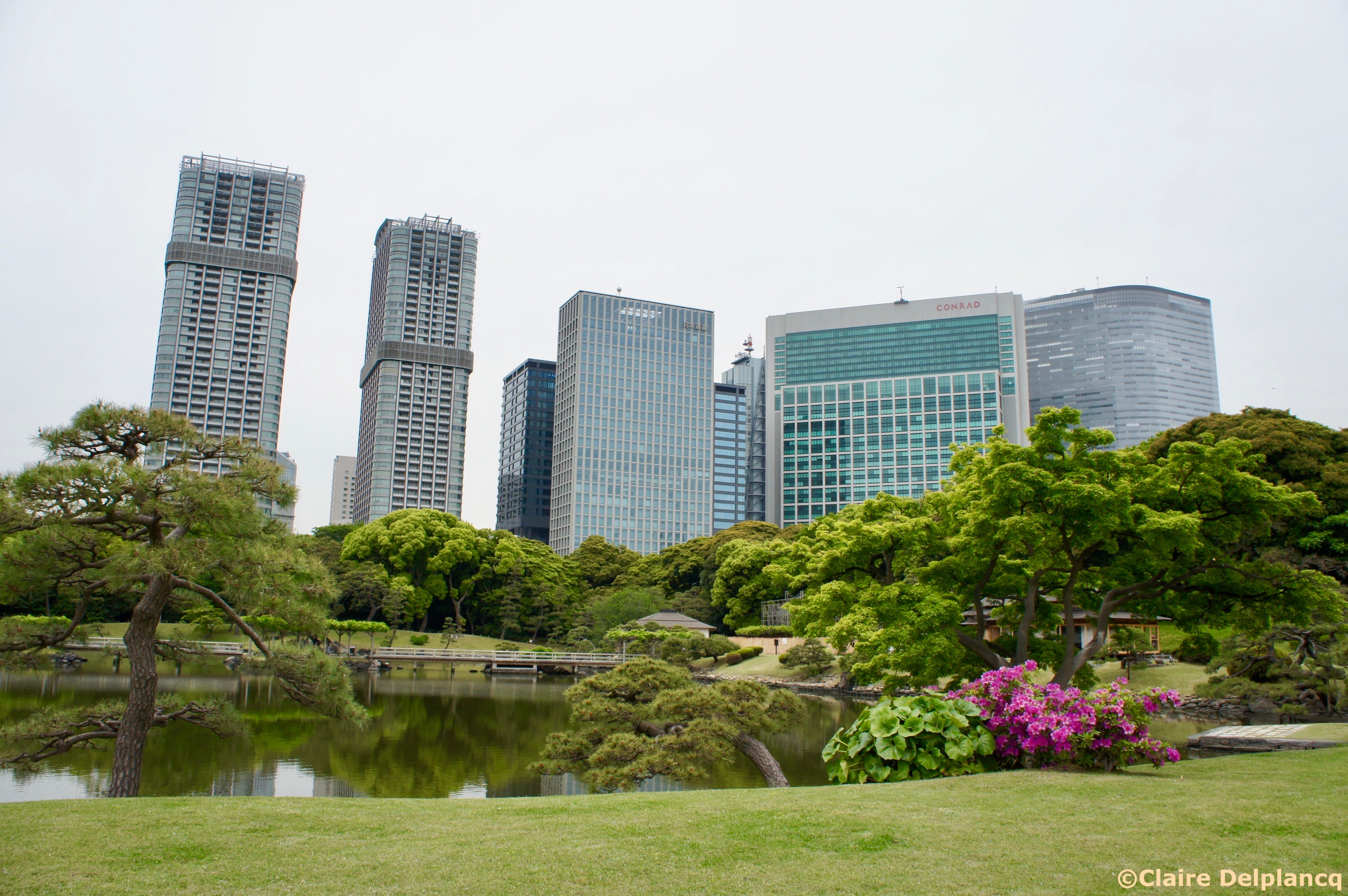 Hamariku Gardens in Tokyo