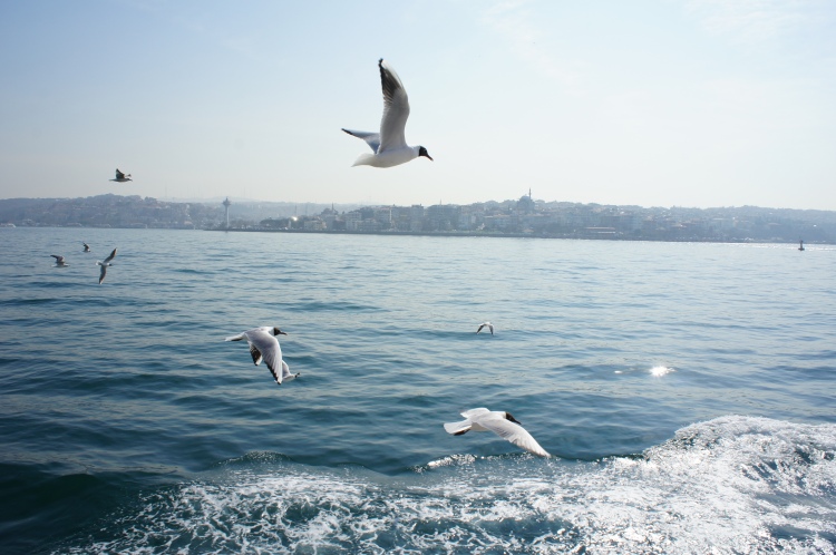 Bosphorus cruise in Istanbul