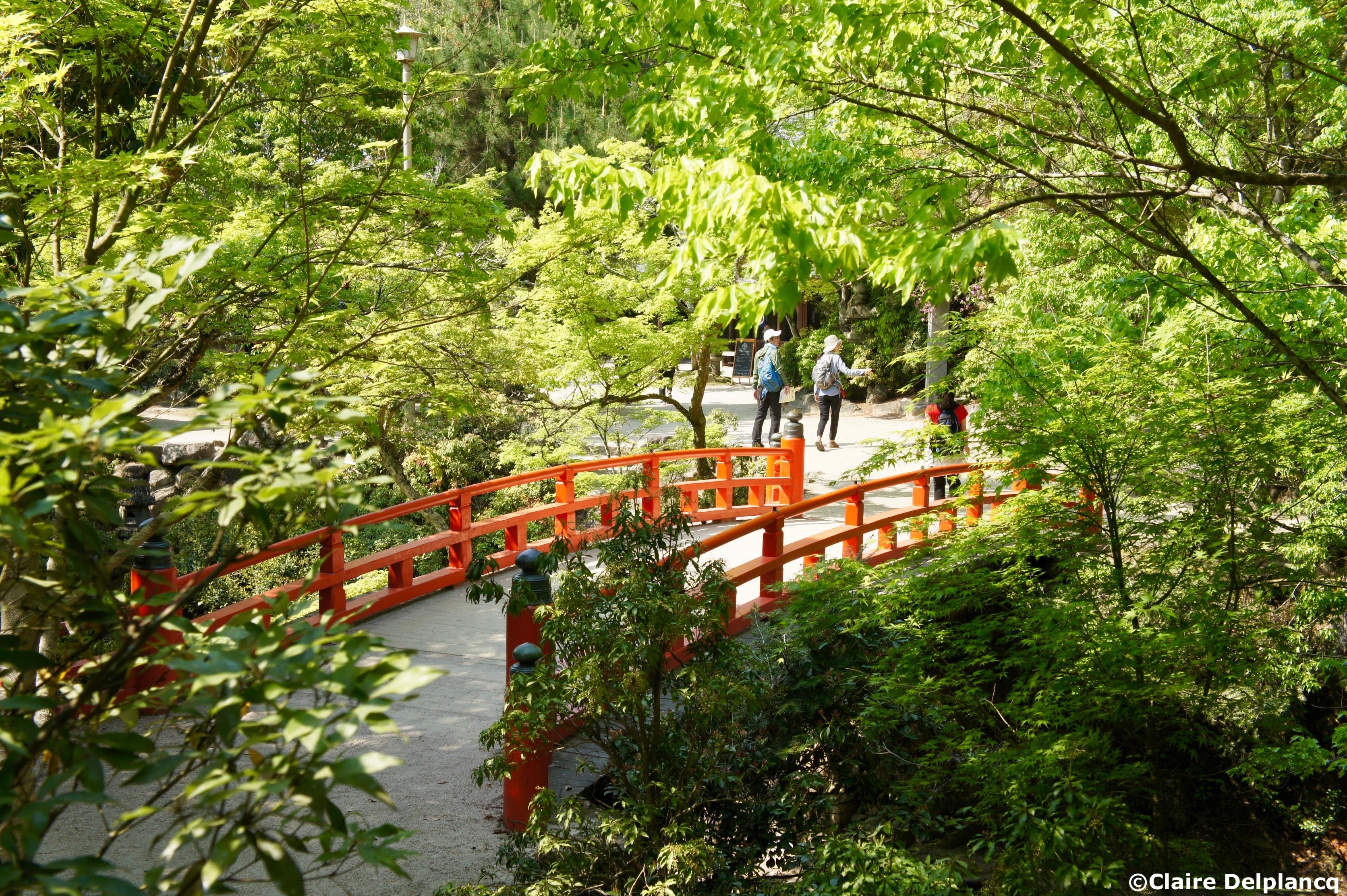 Red bridge in Miyajima