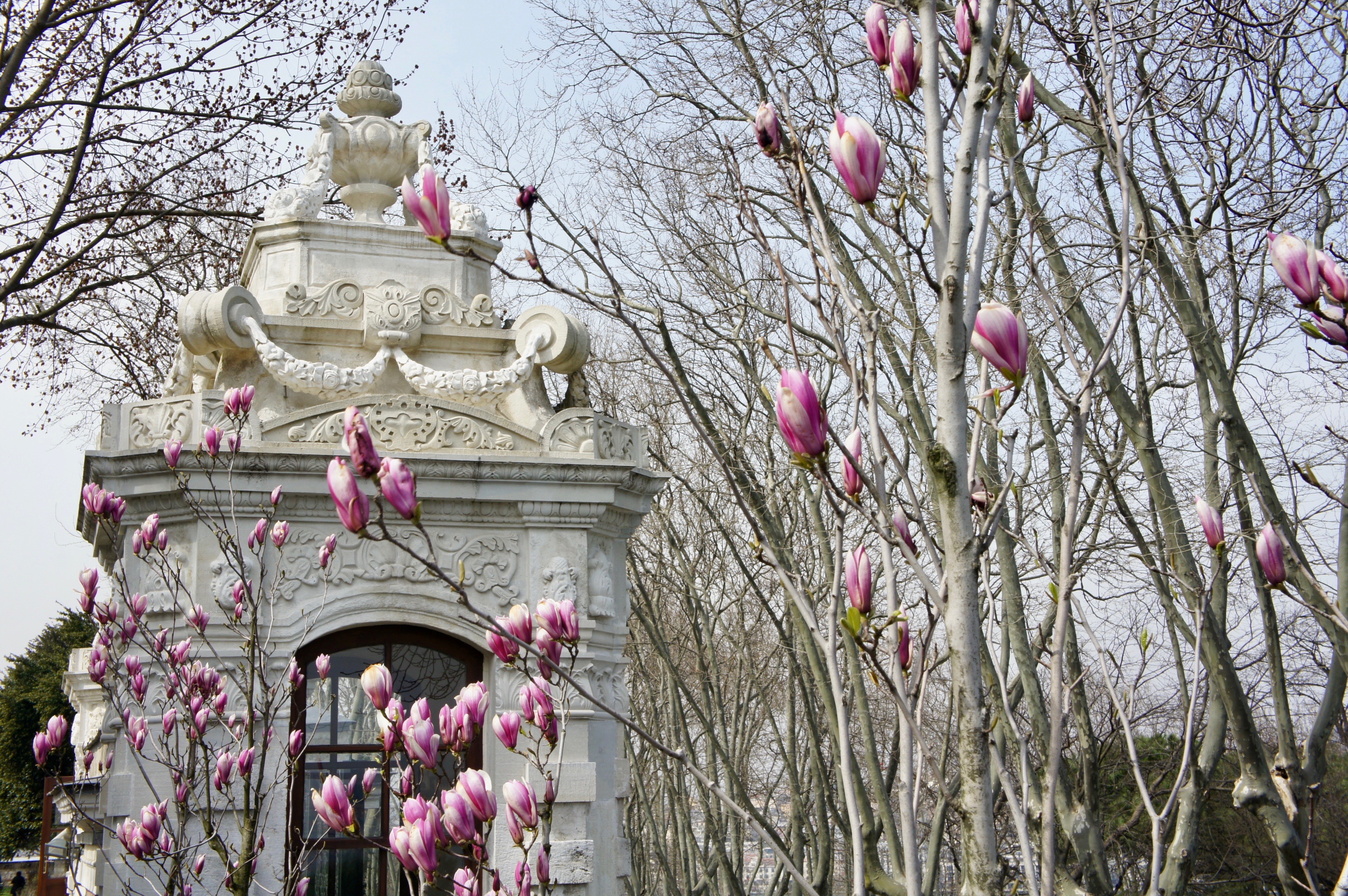Topkapi Palace garden in Istanbul