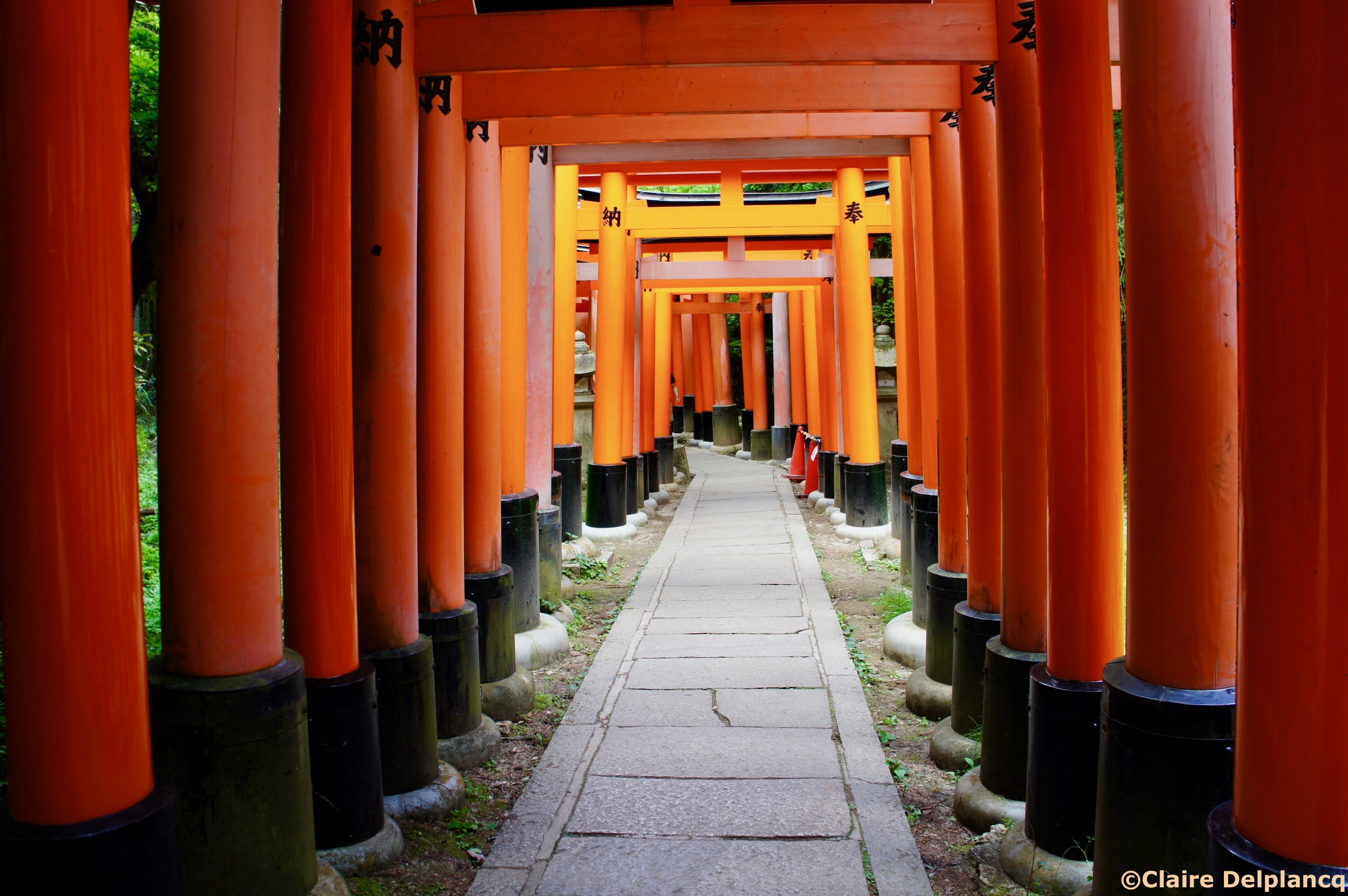 Fushimi torii gates Kyoto