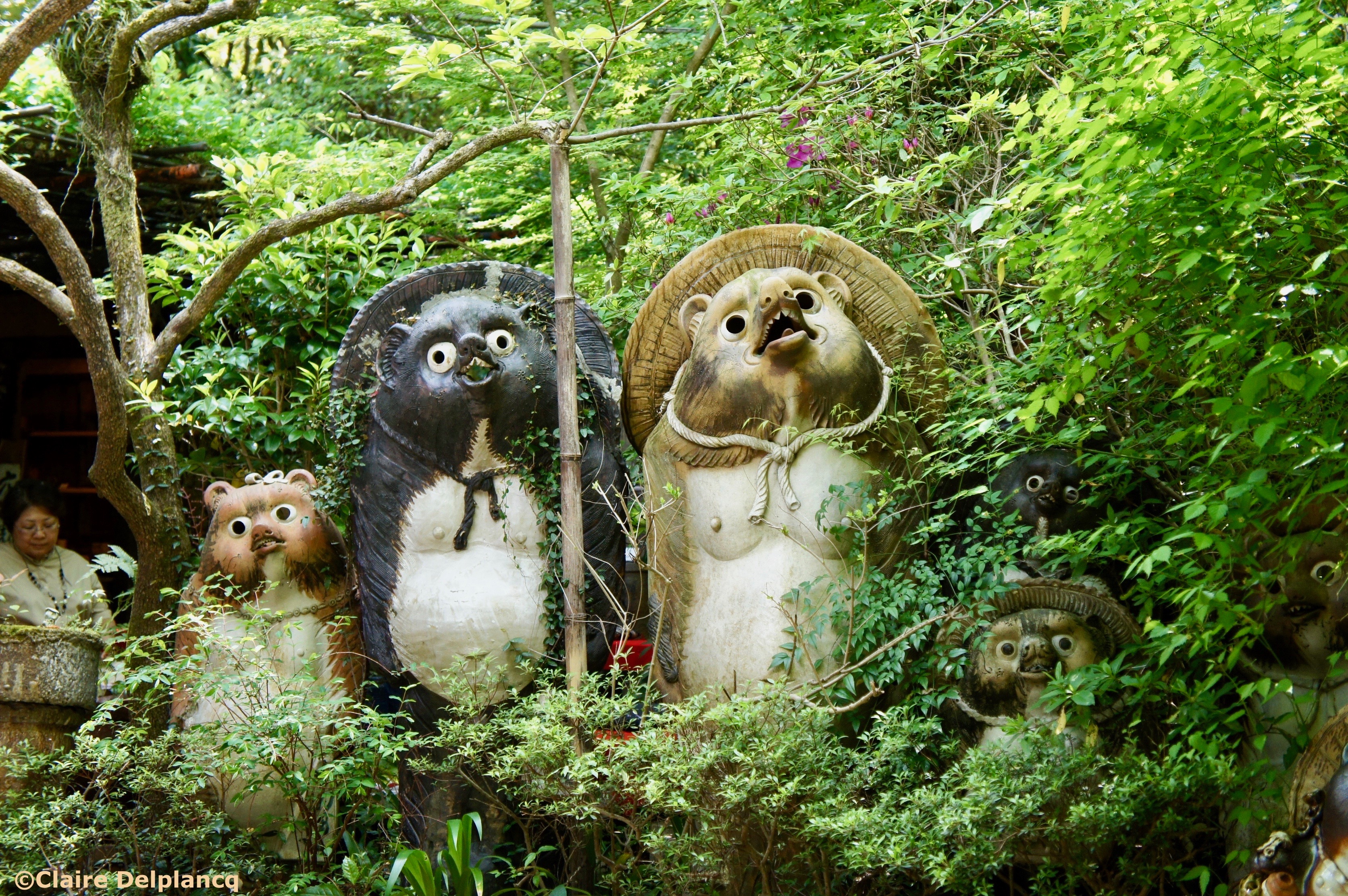 Shigaraki Tanuki in Kyoto