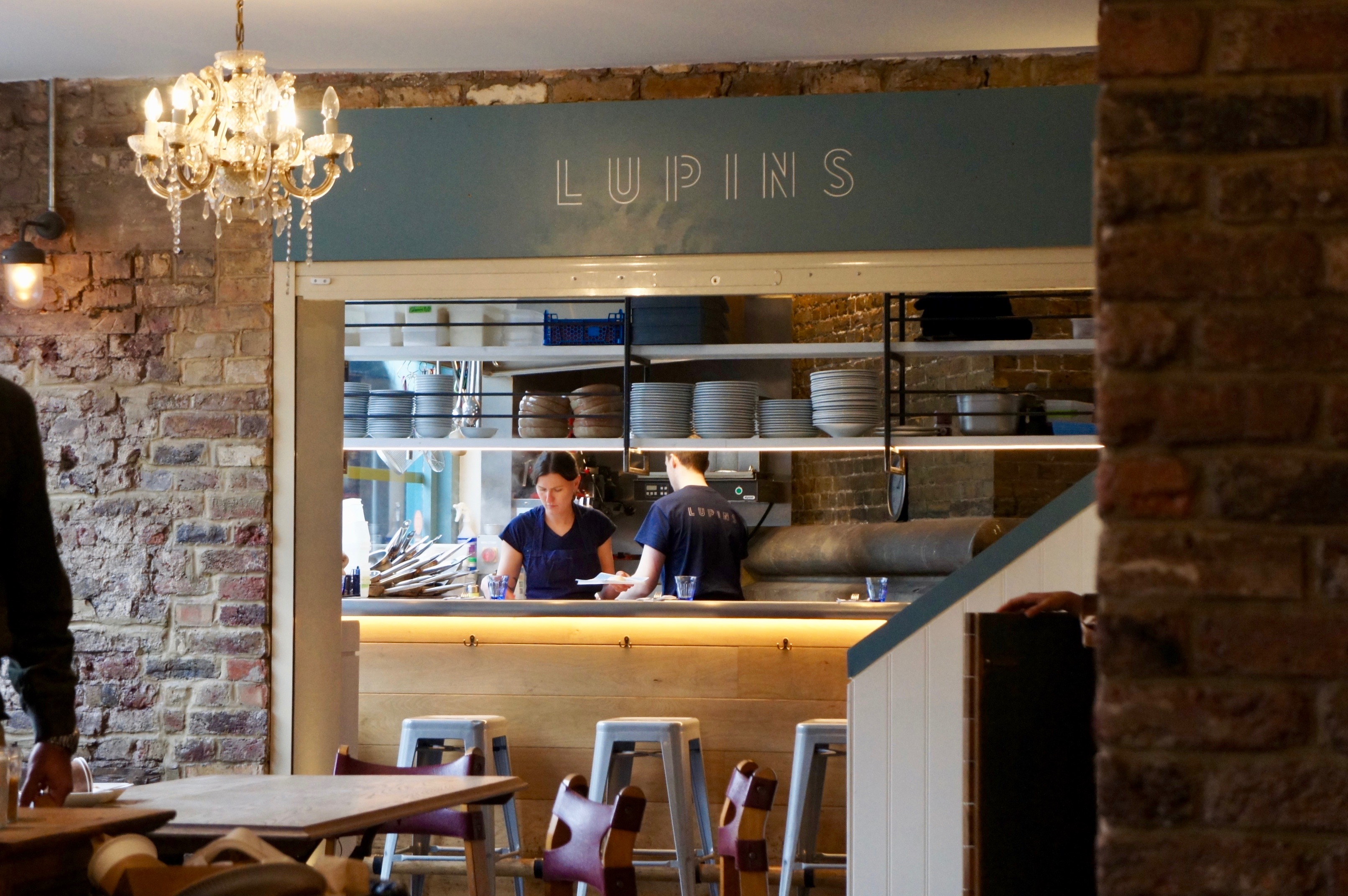 Lupins in Flat Iron Square