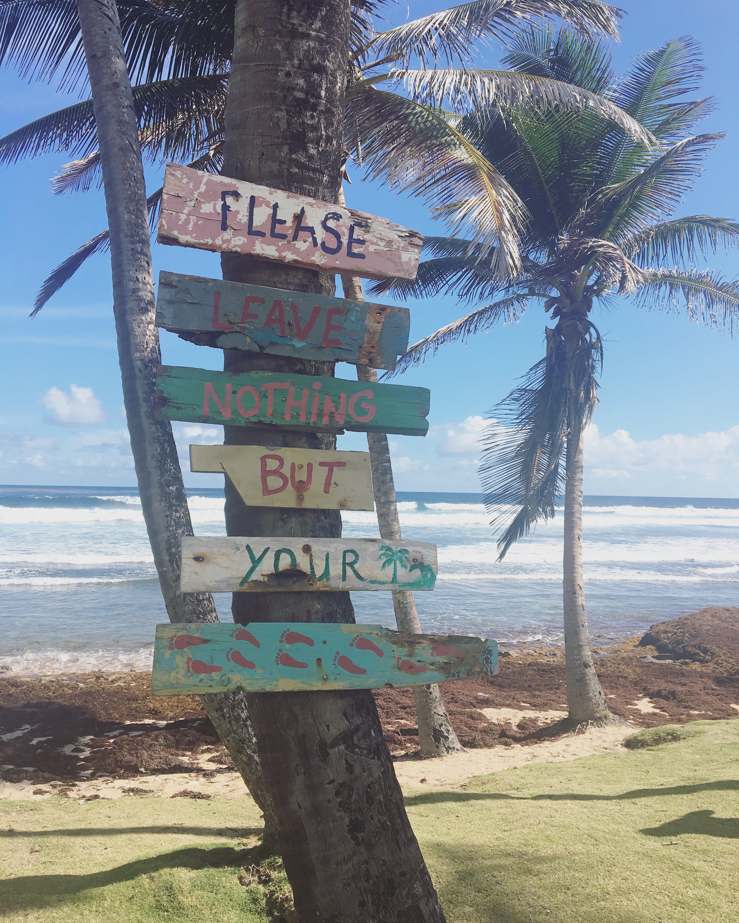 Bathsheba beach sign