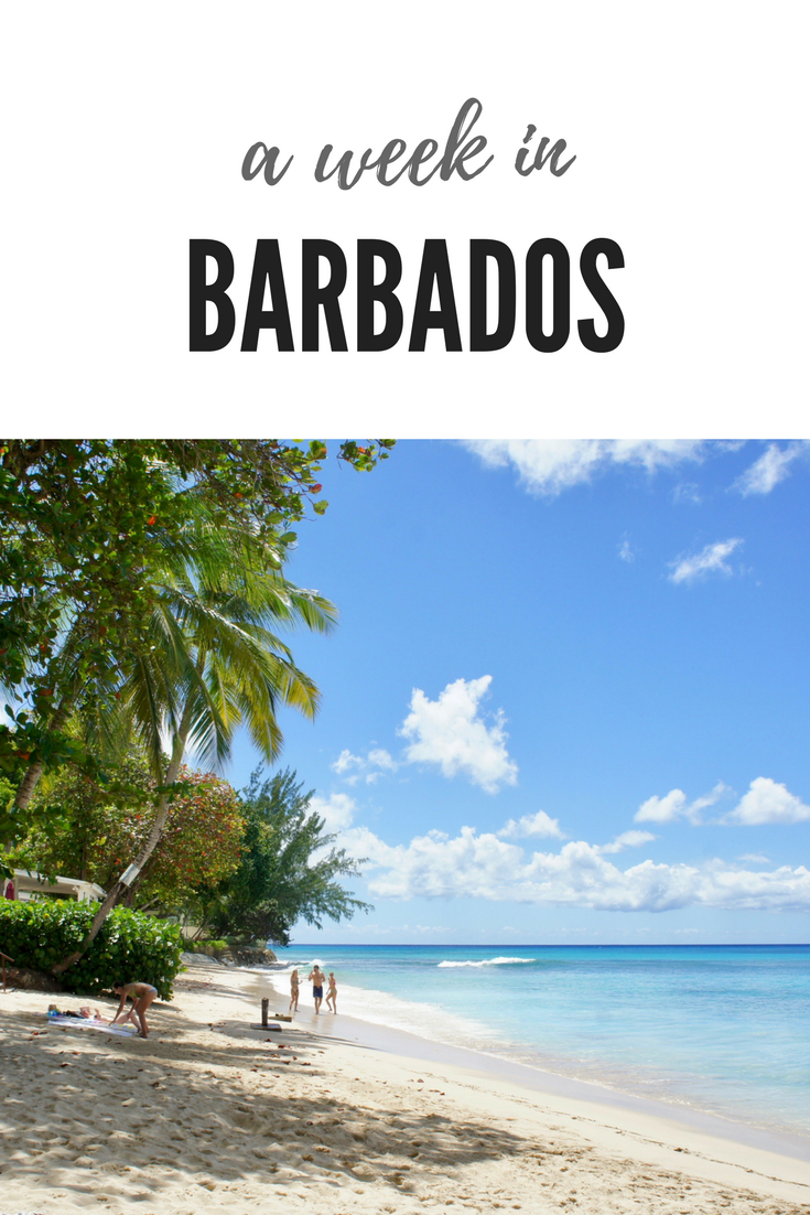 A week in Barbados