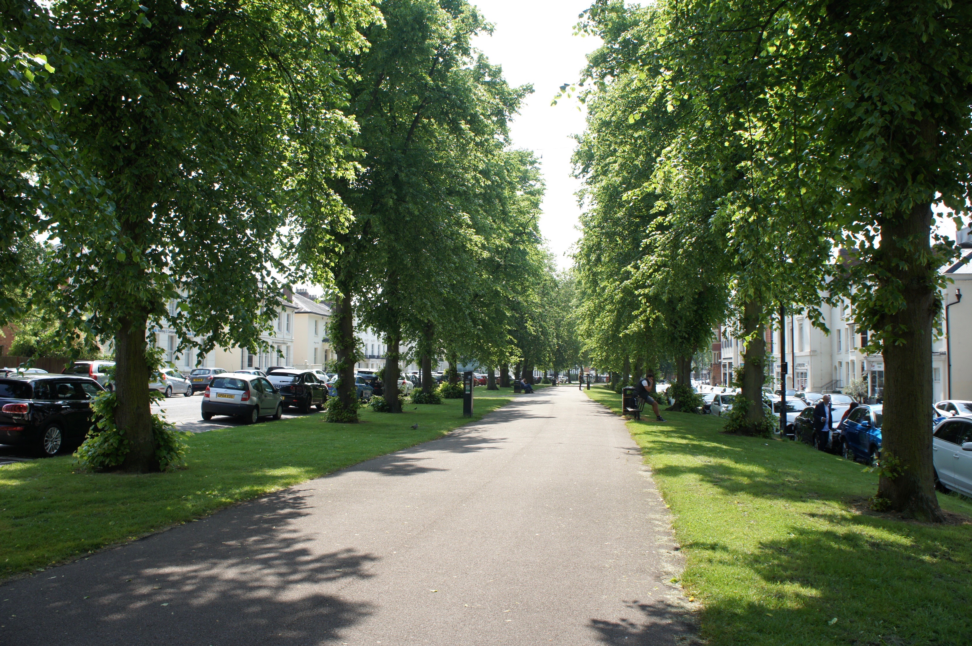 Royal&nbsp;Leamington Spa avenue