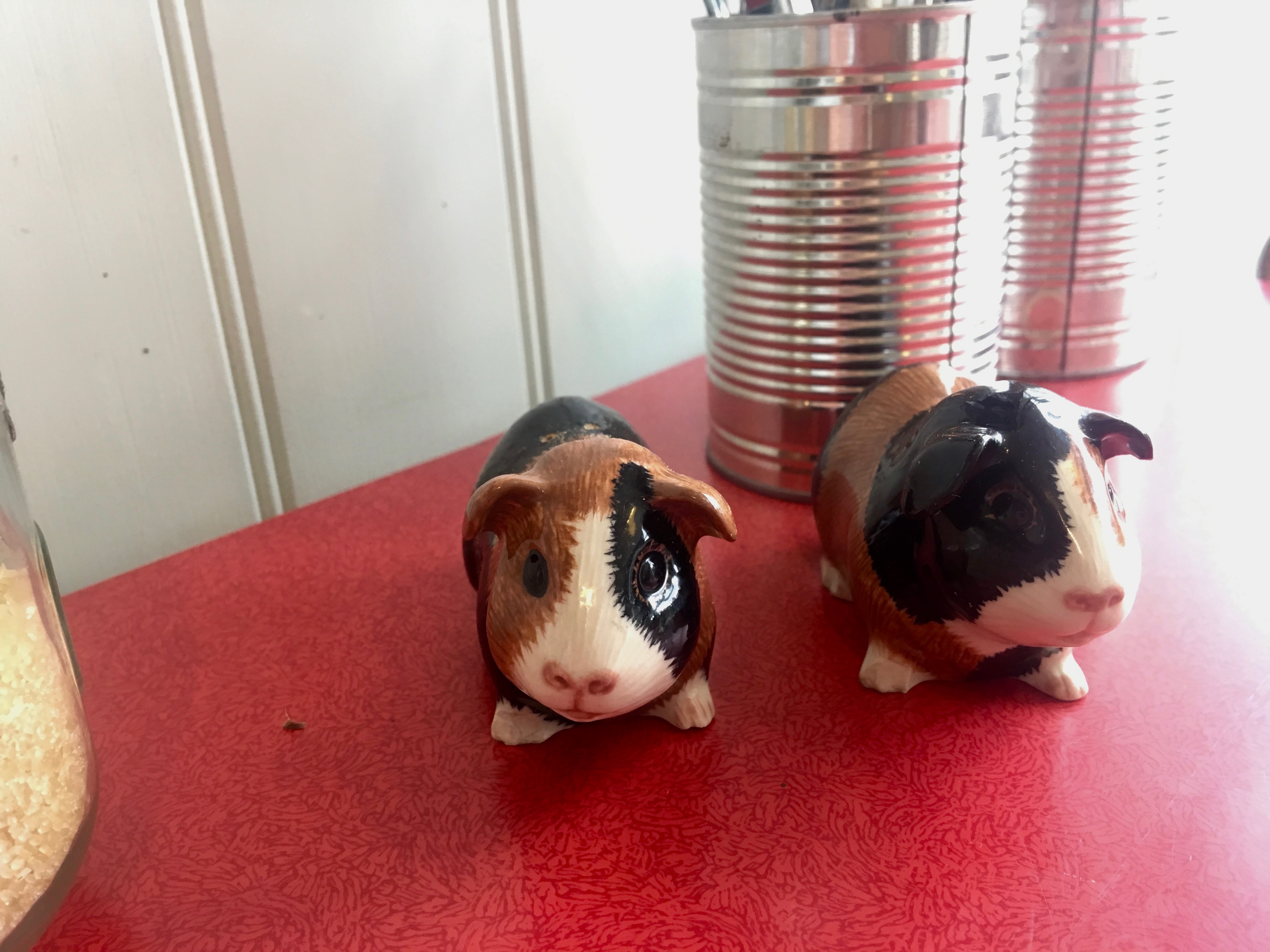 Arlo and Moe Guinea Pigs salt and pepper