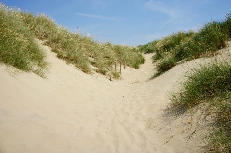 Camber Sands dunes