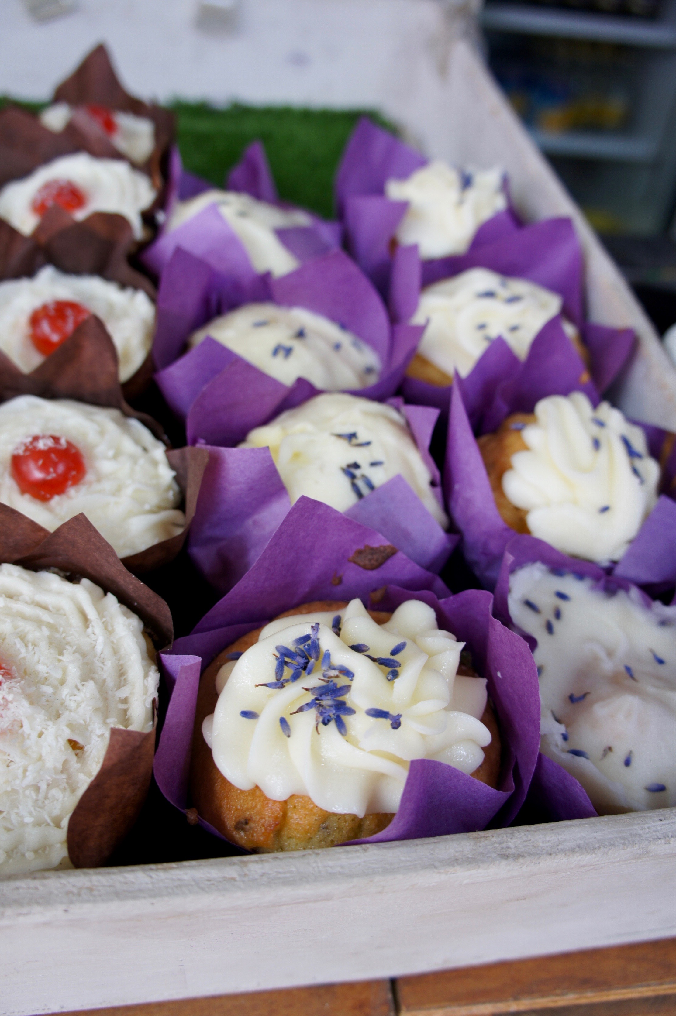 Lavender cupcake in Mayfield Lavender