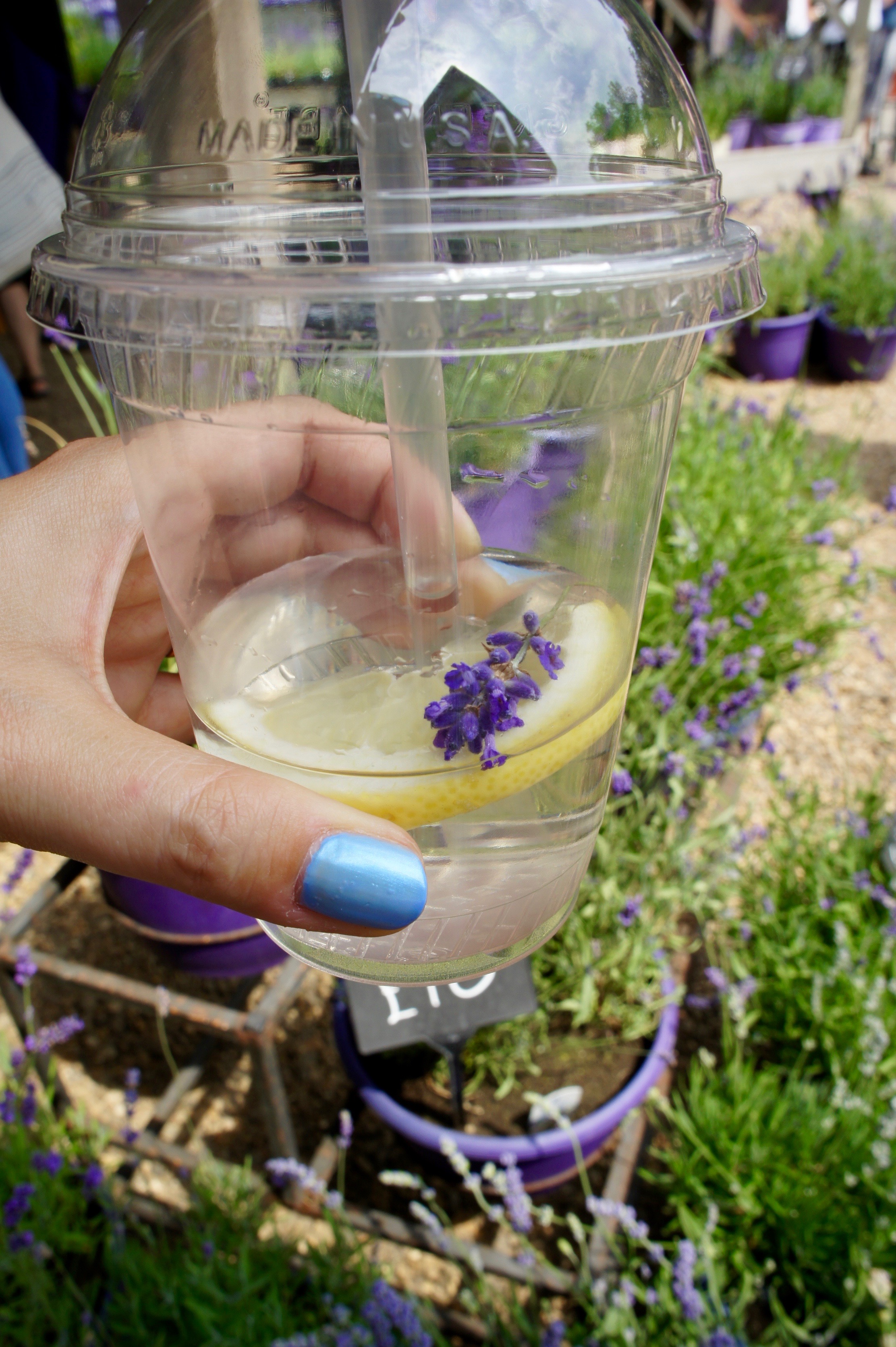 Lavender iced tea in Mayfield Lavender