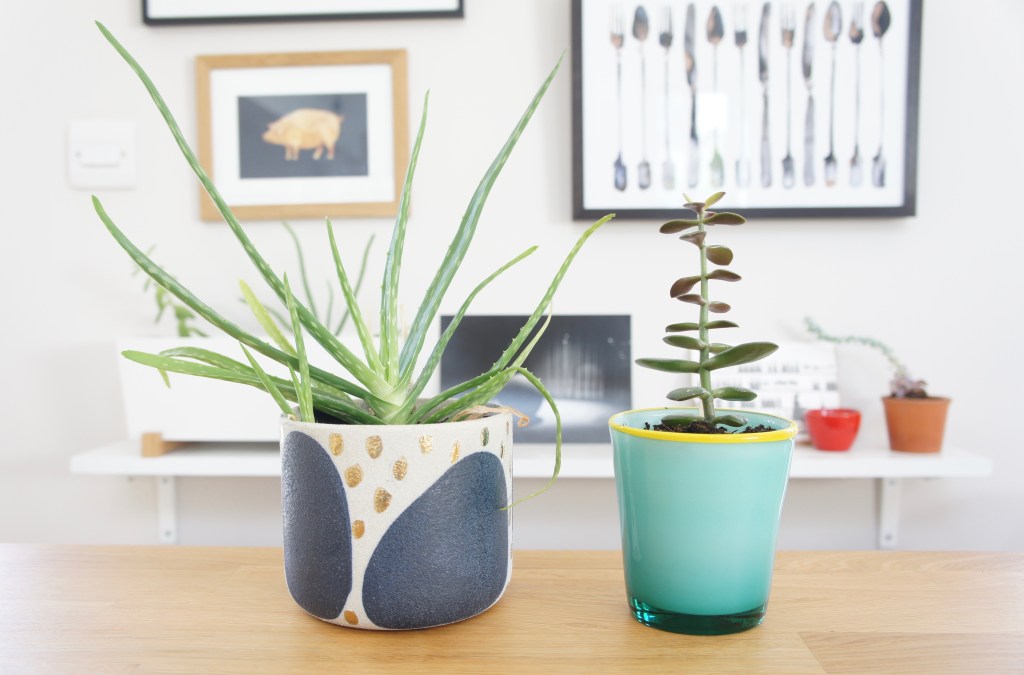 5 great housewarming gift&nbsp;ideas