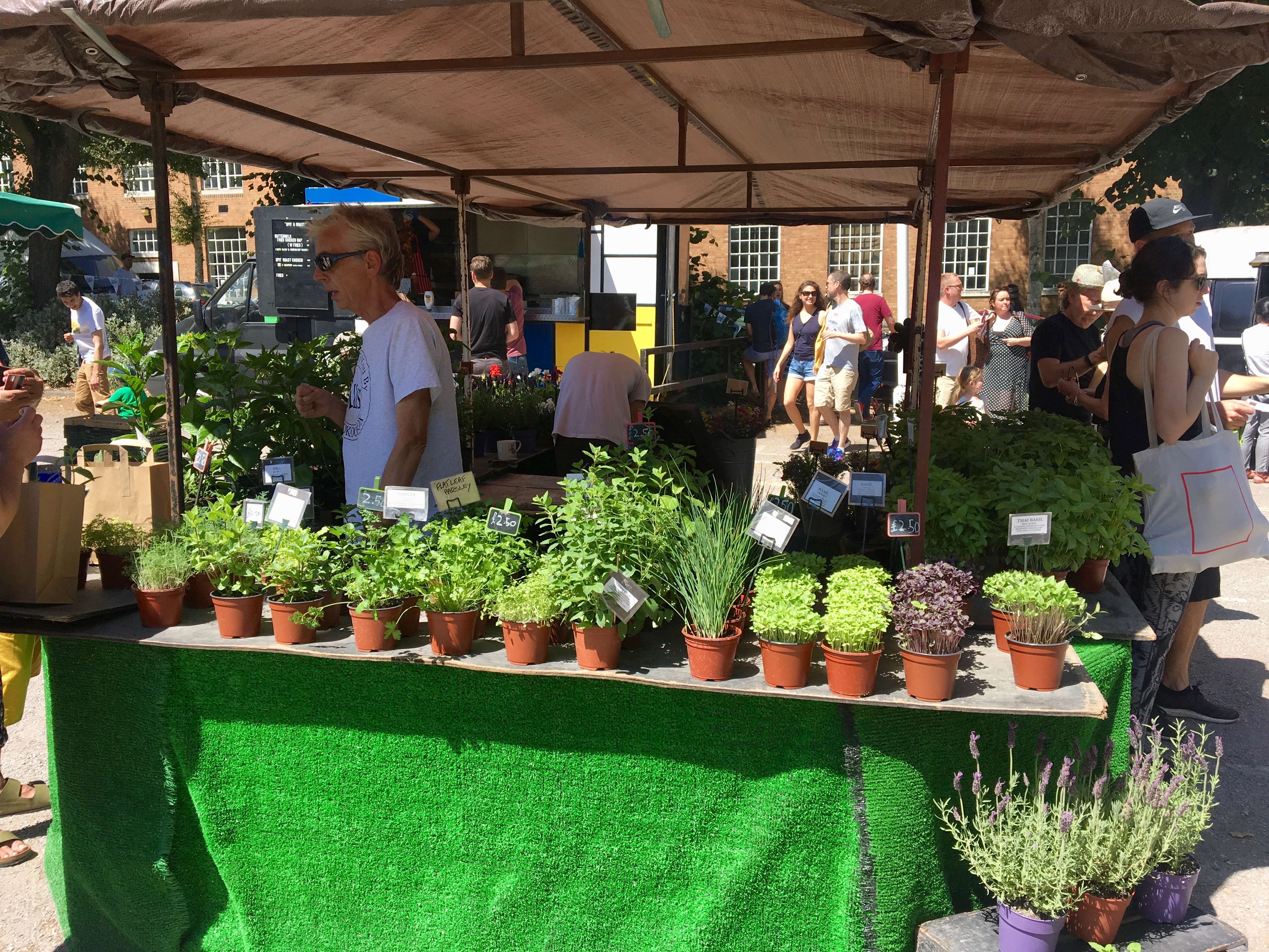 Plants in BrockleyMarket