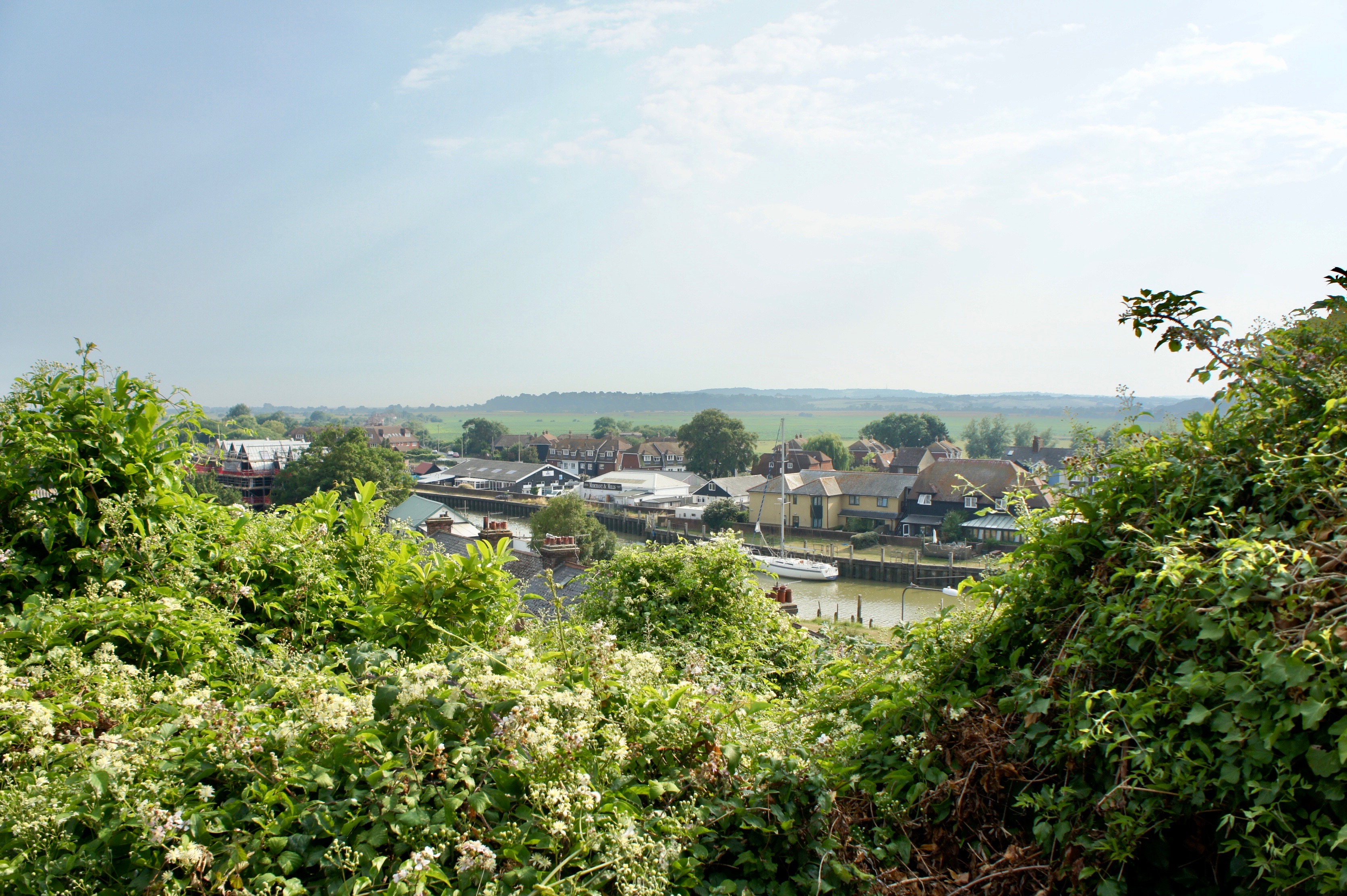 Rye countryside view