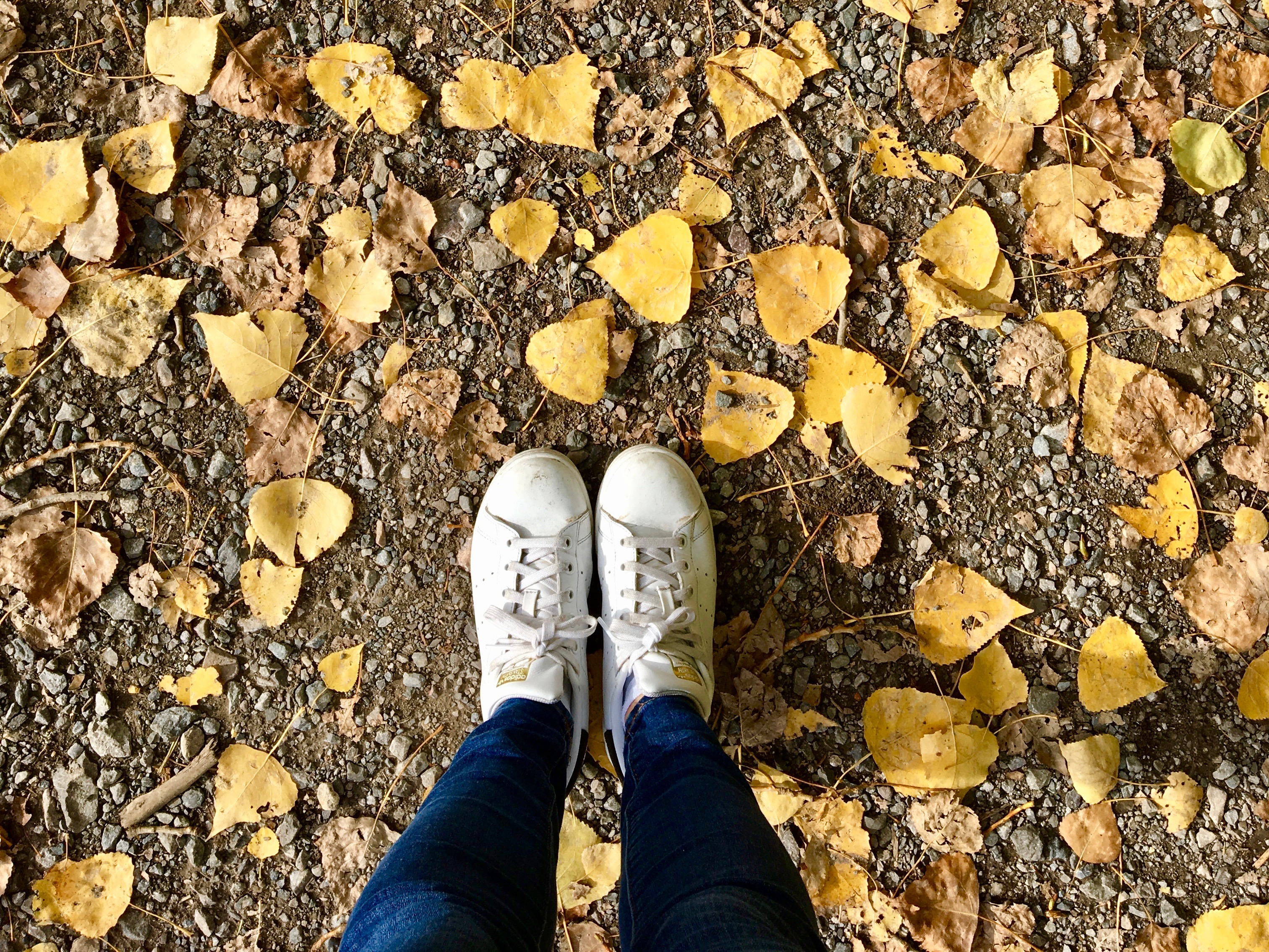 The best places to see Autumn foliage in London