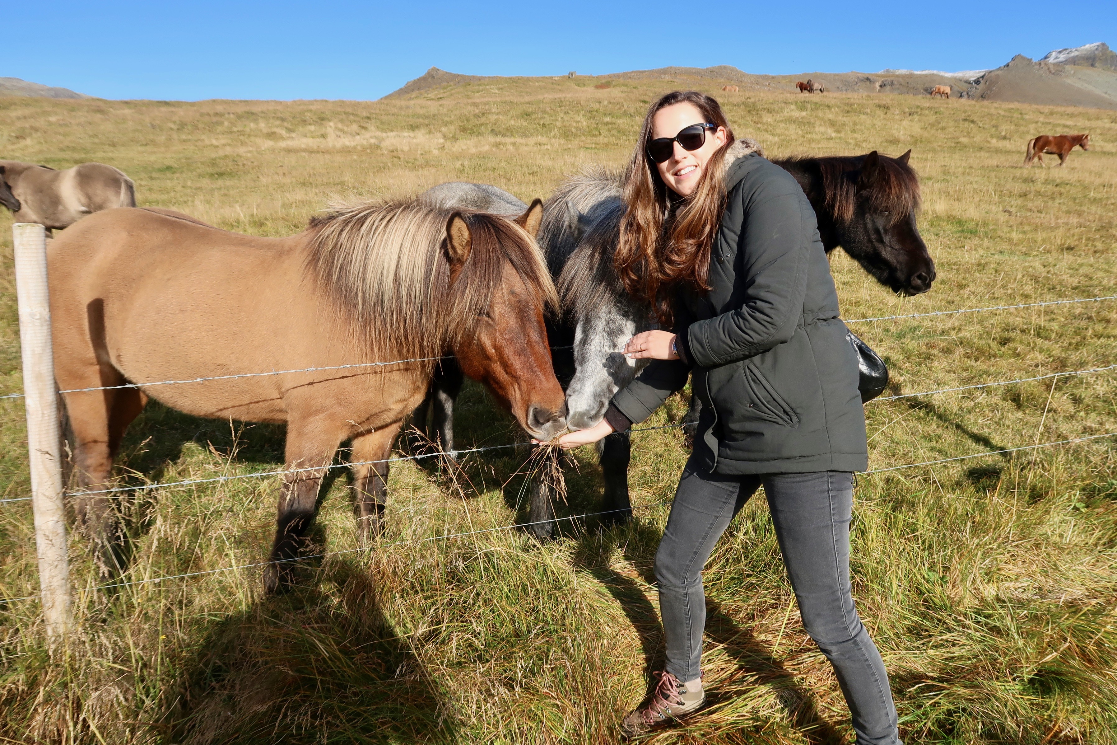Claire Imaginarium with horses in Iceland