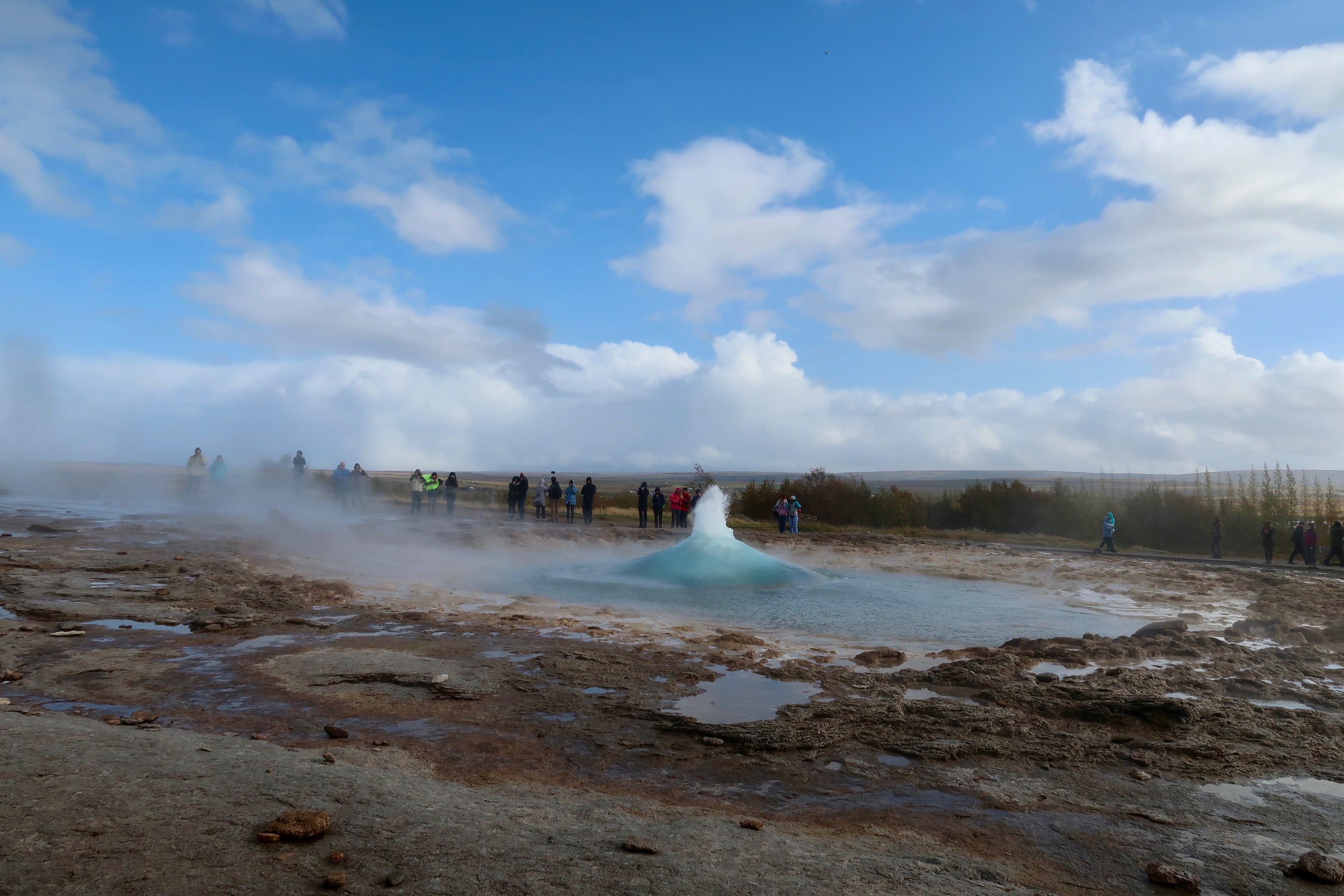 Geyser in Iceland