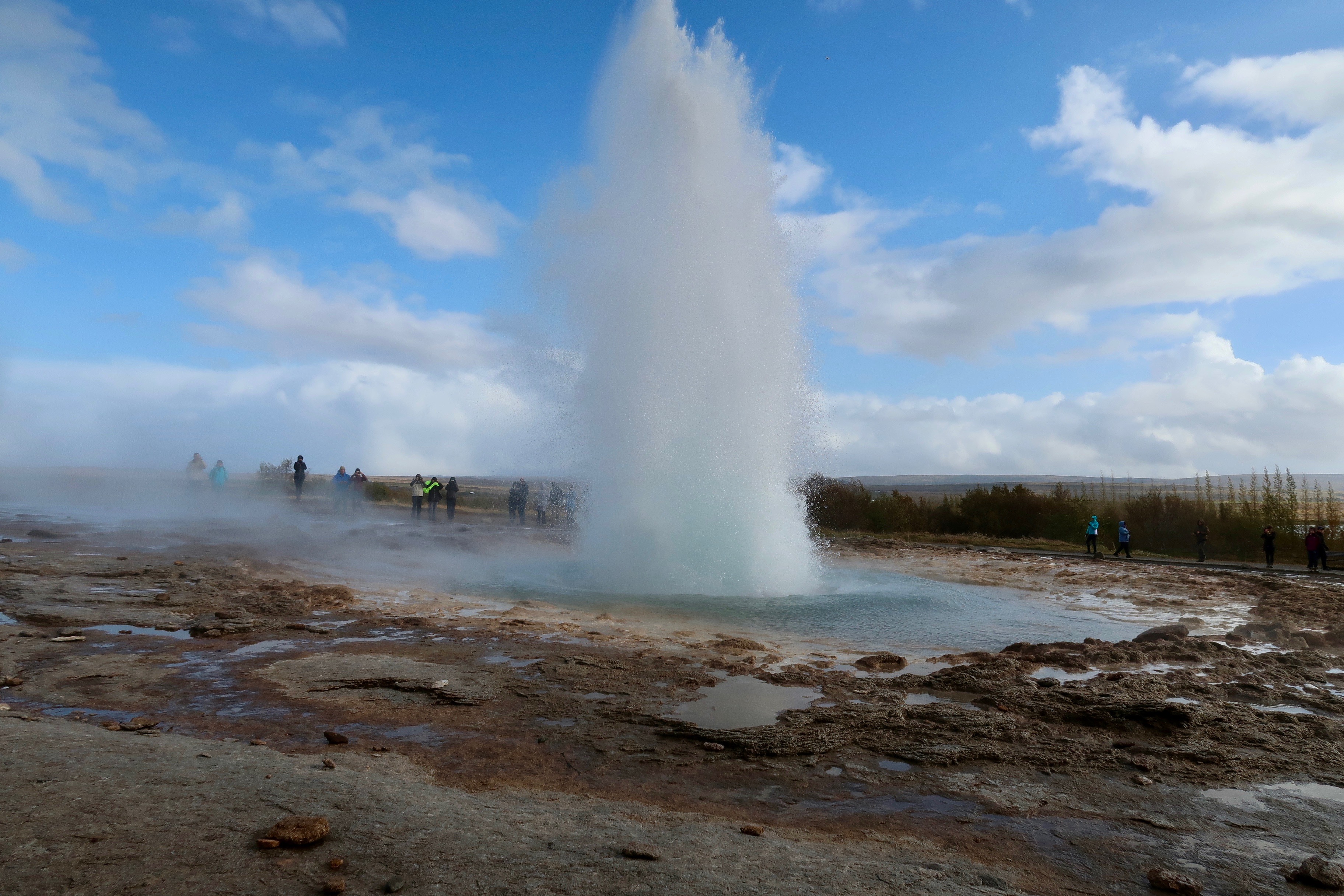 Geyser in Iceland