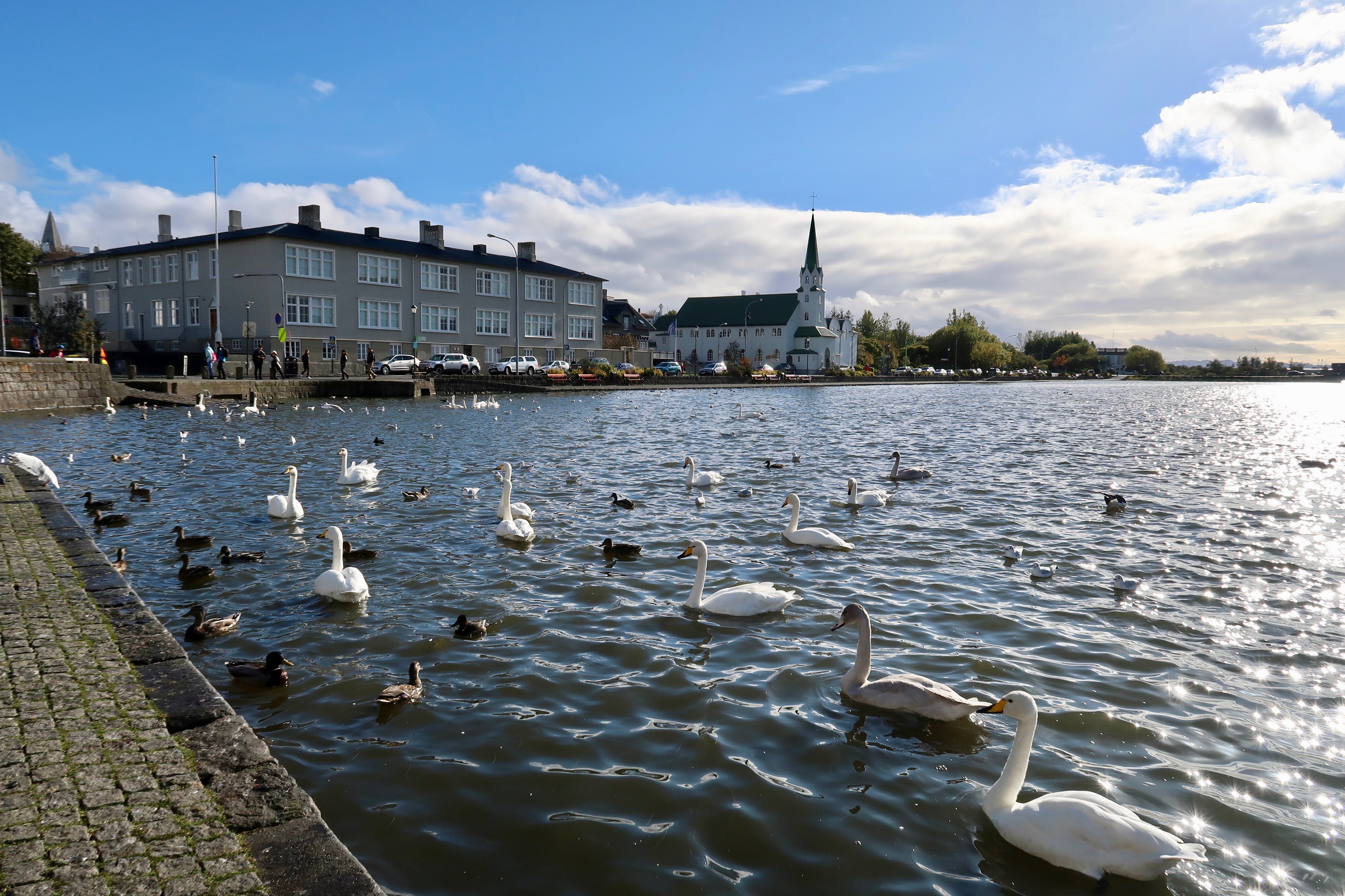 Tjornin lake Reykjavik