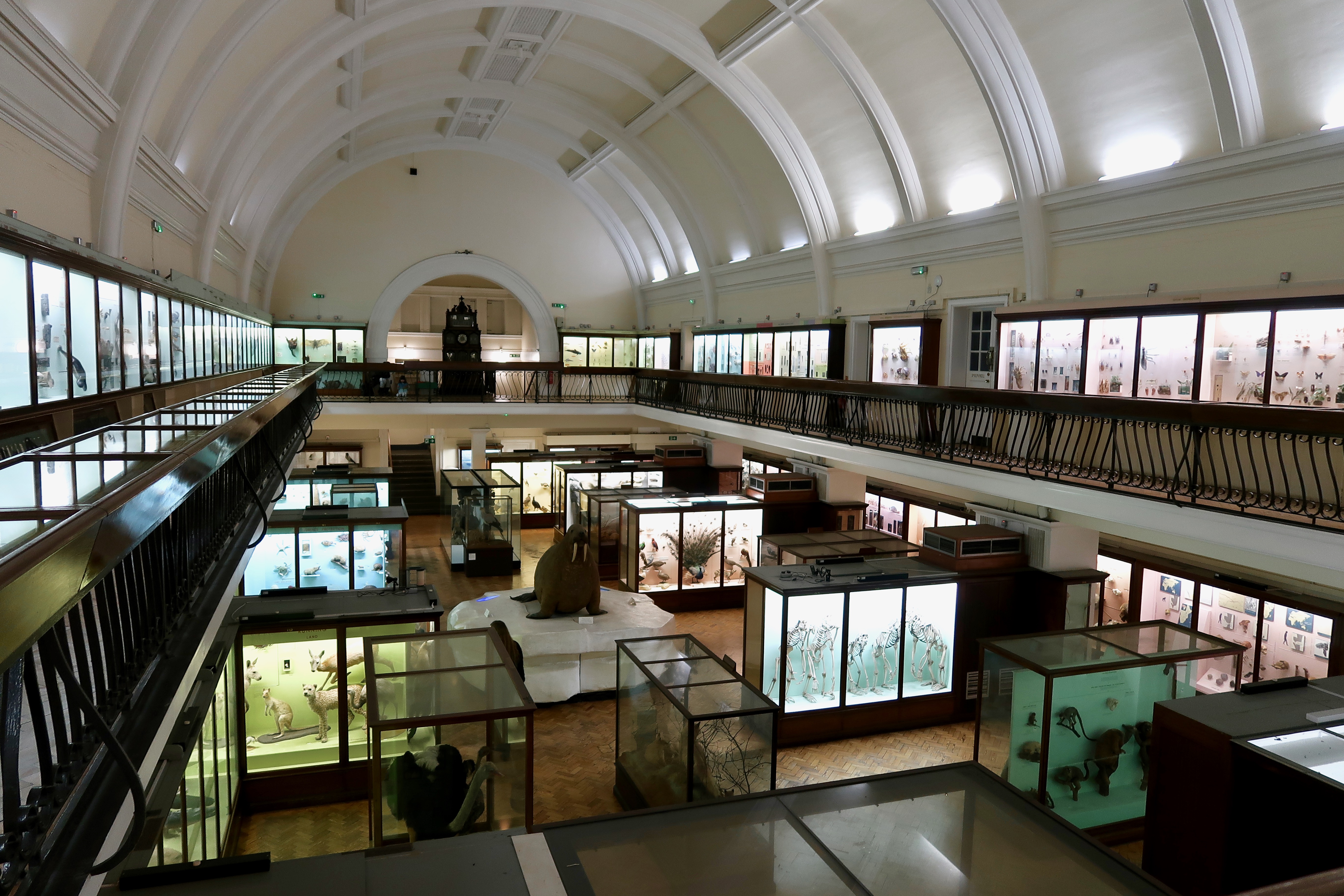The Horniman Museum Natural History Gallery