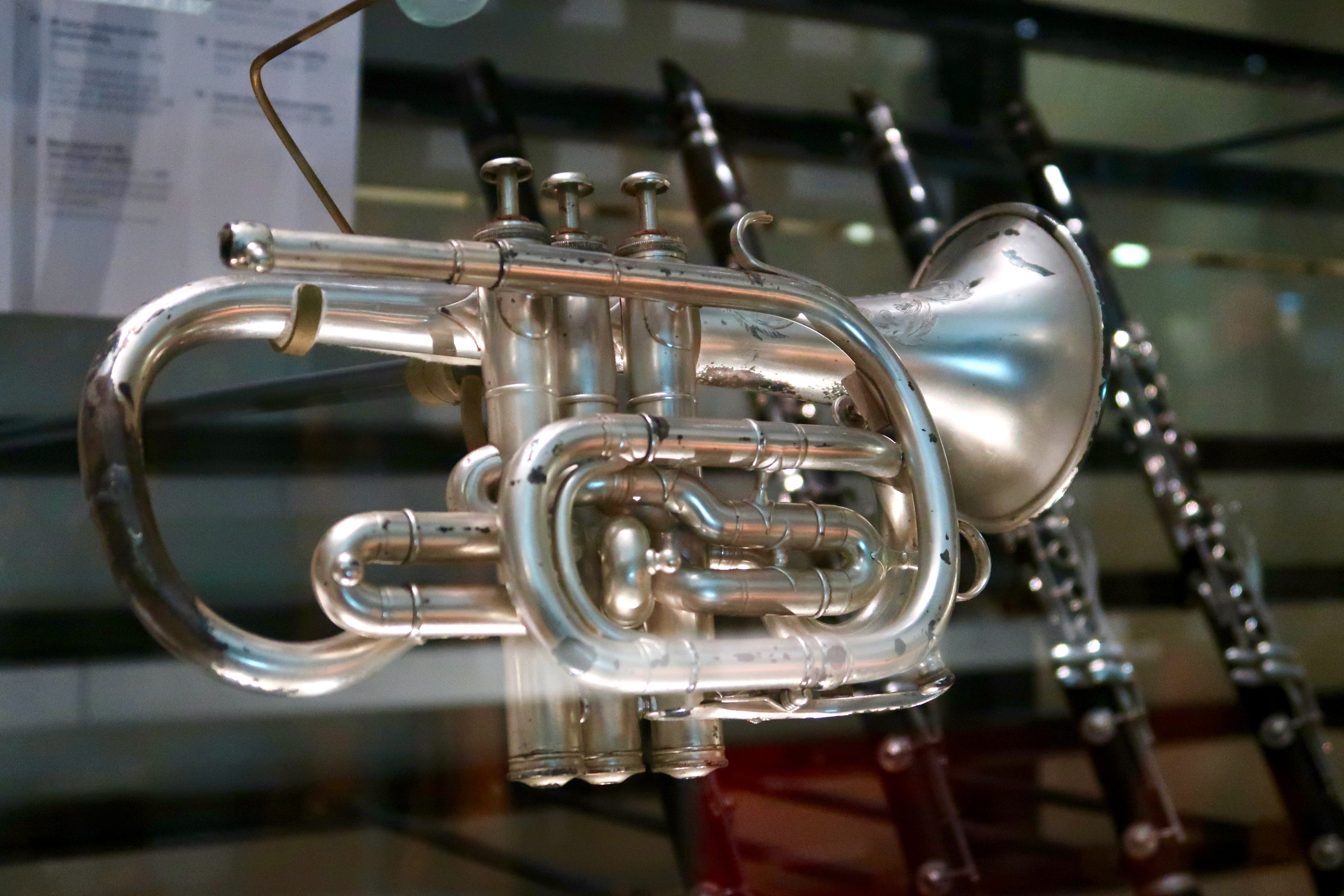 The Horniman Museum Music gallery